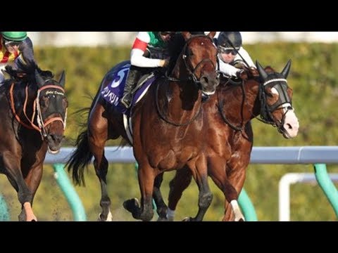 Champions Cup (G1)  2019