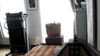 appart botanique 2