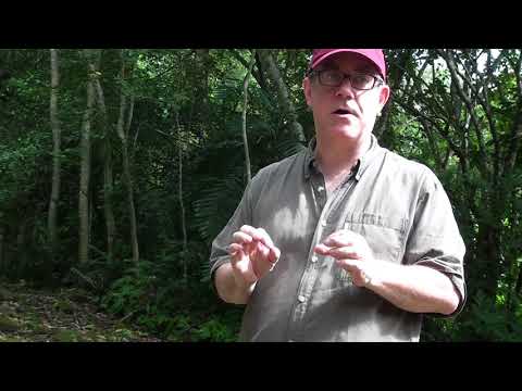 David Stuart Compliments Takeshi Inomata for Aquateca Archaeology lecture