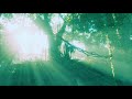 Roger Shah Ambedo Forests Sunlounger Ambedo Translations Mix