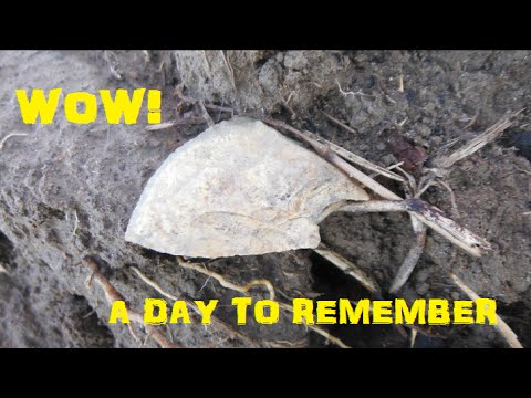 Arrowhead Hunting - A Day To Remember Video