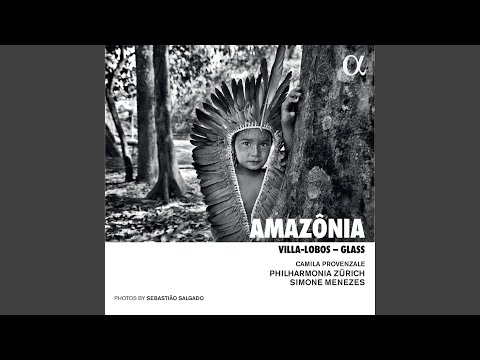 Metamorphosis 1 (from Aguas da Amazonia)