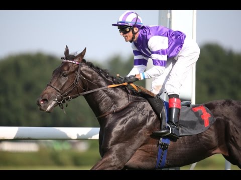 Köln: Cagliostro Zweijährigen Trophy (Listenrennen) - Sieger: Palace Prince