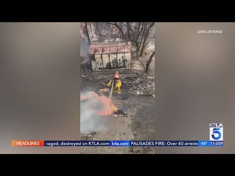 L.A. fire captain saves his neighborhood from wildfire