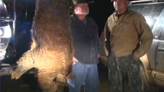 preview picture of video 'Eagle Rock Plantation: Shannon Ruis Boar'