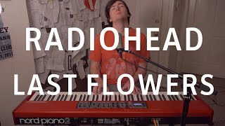 Radiohead - Last Flowers (Cover by Joe Edelmann)