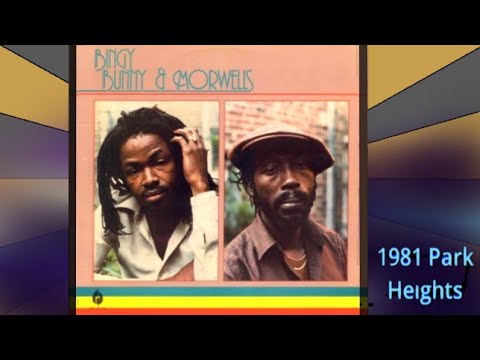 Bingy Bunny & Morwells - Cold Cold World