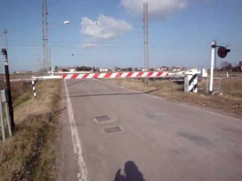 ALn 663 + Ln 880 FER al passaggio a livello a due barriere di via Canala a Sant'Antonio (RA)