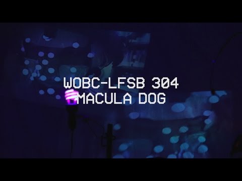 WOBC-LFSB 304: Macula Dog - The Dig Down