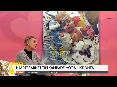 Tim föddes med hjärtfel – blev bara 14 månader - Nyhetsmorgon (TV4)