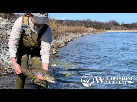 犀川解禁！早春の安曇野フライフィッシング