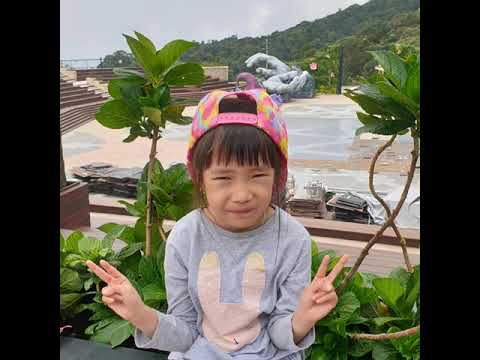 Vườn Nhà Chipping Norton  - Sydney -     Australia