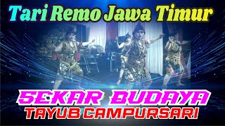Download lagu TAYUB MALANG RAYA TARI REMO SEKAR BUDAYA mp3 Download lagu TAYUB MALANG RAYA TARI REMO SEKAR BUDAYA mp3