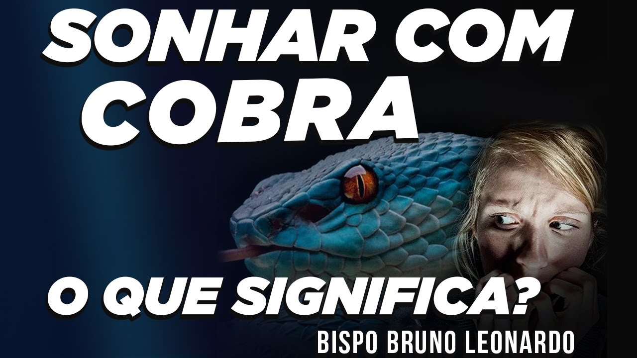 SONHAR COM COBRA, O QUE SIGNIFICA?