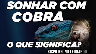 SONHAR COM COBRA, O QUE SIGNIFICA?