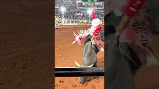 O Riquelme fez 91.50 no Mickey Mouse 🔥 50 Anos do Rodeio de Colorado 2026