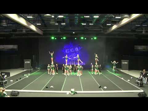 Bielefeld Junior Wildcats