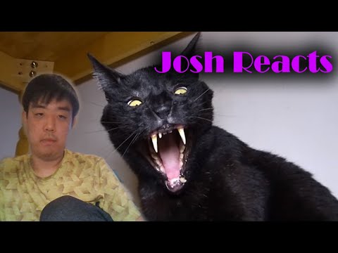 Josh React to Talking Kitty Cat 40-50