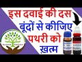 Best Medicine For Kidney Stones Uses Of Berberis Vulgaris In Kidney Stone Shorts Ayurveda