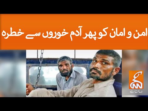 Adam Khor Insan in Pakistan | Brothers jailed for 1 month | GNN | 26 March 2020