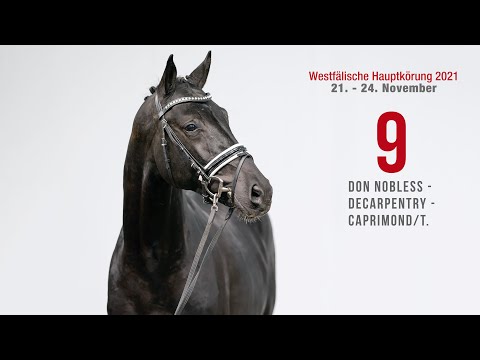 Westfälische Hauptkörung Reitpferdehengste: Kat-Nr. 9  Don Nobless -   Decarpentry - Caprimond/T.