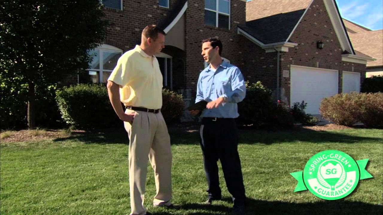 Professional Lawn Care Made Easy | Spring-Green Services