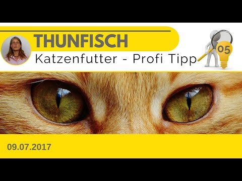 🔪#05 - Thunfisch für Katzen ✔ Dieses Leckerlie schadet der Katze!