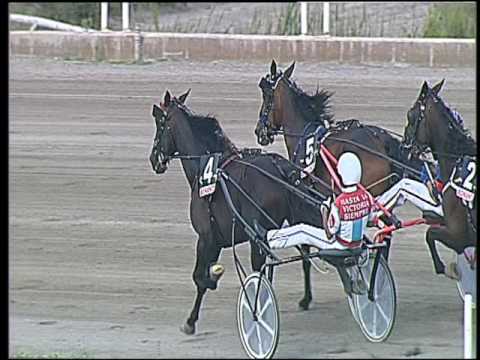 Trotto 23/09/2016 - 2ª corsa