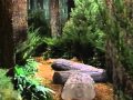 Camp WannaRunnaRound Part 3
