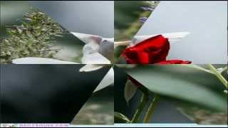 Download lagu WESTLIFE  I'LL BE THERE mp3