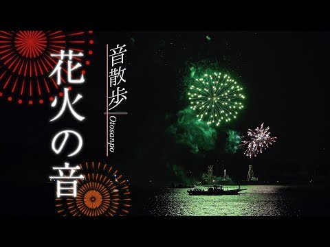 犬が花火の音を怖がる 恐怖を克服する方法 犬のq A集 Dogoo Com