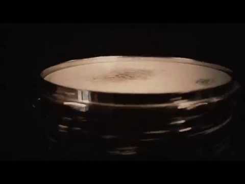 ORGAN EXPLOSION - Dark Heaven