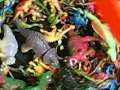 Dinosoars