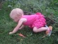 Маленькая девочка тянет морковку... (а далее =) 