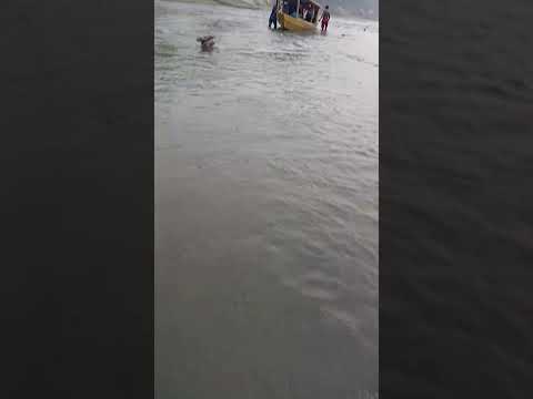 Rio Mariepauá Novo Aripuanã-AM Meu aniversário