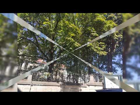 IXELLES HUMAN INTERCULTURAL CITY the City of tomorrow