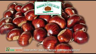 69th Chestnut Festival: Castel del Rio celebrates the symbolic fruit of the Tuscan-Romagnolo Apen...