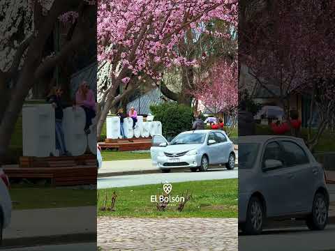 Cerezos en flor y montañas nevadas: la magia de El Bolsón #vacaciones #travel #viajes #patagonia
