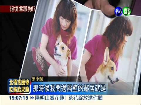 前室友報復? 愛犬在家遭虐殺