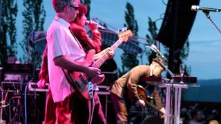 Beastie Boys - Ch-Check it Out vs Skinny Puppy - Blue Serge By DJ AK47