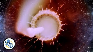 The Universe in a Cup of Coffee