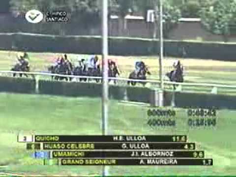 Huaso Celebre Clasico Paddock Stakes G3 2011