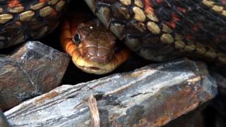 tarea 2 RESPIRA EL MOMENTO/CALLE 13