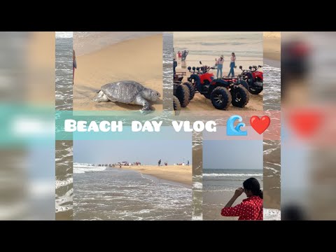 Beach day 🌊❤️ Vlog ✨        @Shatakshi
