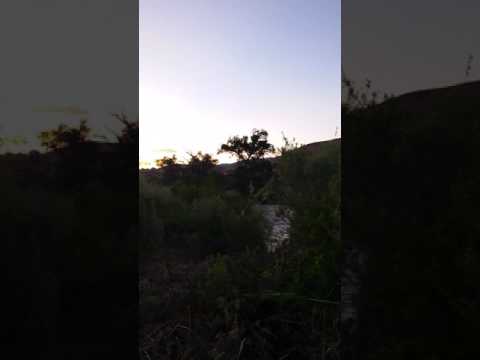 Poison Hemlock Update. Warning signs removed.