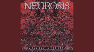 From Where Its Roots Run