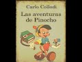 Pinocho Capitulo 28 Al 32 Audiolibro