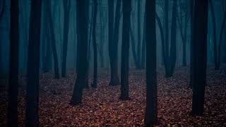 Download lagu (Free) Horror Ambiance - Ominous Background Music mp3 Download lagu (Free) Horror Ambiance - Ominous Background Music mp3