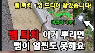 뱀퇴치1위 ! 드디어 찾았습니다! 이거를 했더니 집근처 얼씬도 안합니다!   #뱀퇴치 #뱀이싫어하는것 #뱀키…