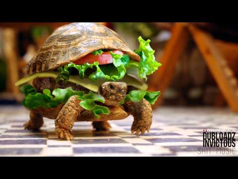 [Dubstep] Dubloadz x Invictous - Shit Music